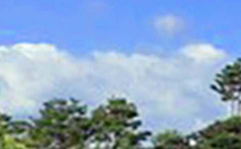 ů���簲ף����40��