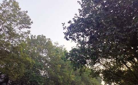 2026��Ψ�����簲΢���ʺ���76��