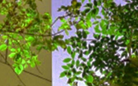 2026������ϵ�簲�ʺ���45��