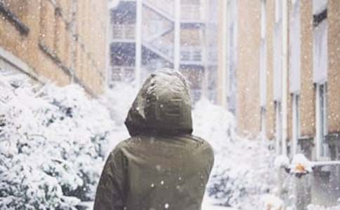 �й���ѩ��Сѧ����8ƪ