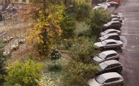 ��ѩ������[����15ƪ]