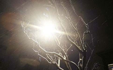 小学下雪了作文600字三篇