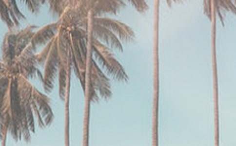 �ļ���Լ�õ糫����(13ƪ)