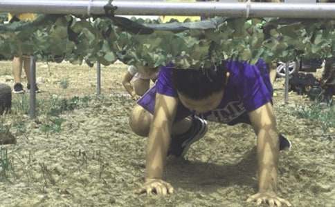 ������������Ӫ������ӭ��