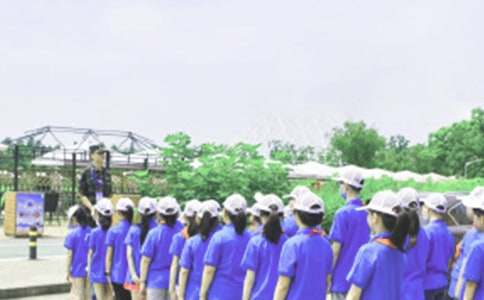 �������Ӫ�ĵ����1000�֣�ͨ��8ƪ��