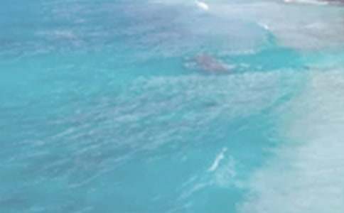 �����������ա��и�(9ƪ)