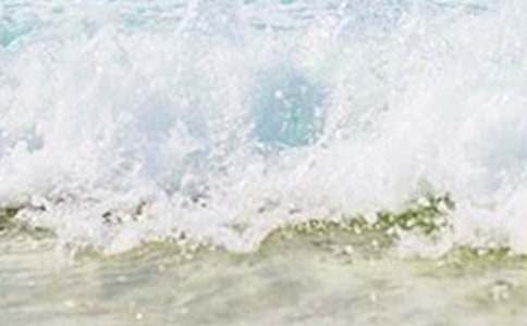 【热门】夏天的小学作文十篇