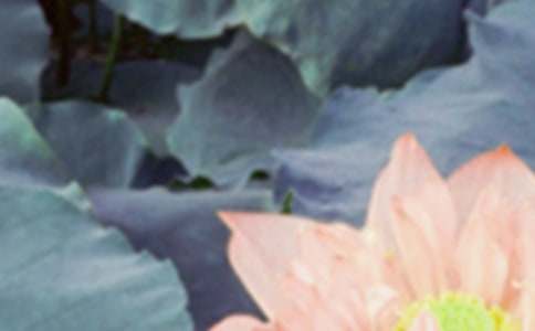 �����ʺ��ﾭ��