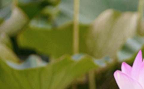 ��ʶ���������̰�����ѡ6ƪ��