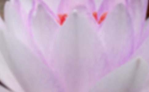 ����ף���ʺ���