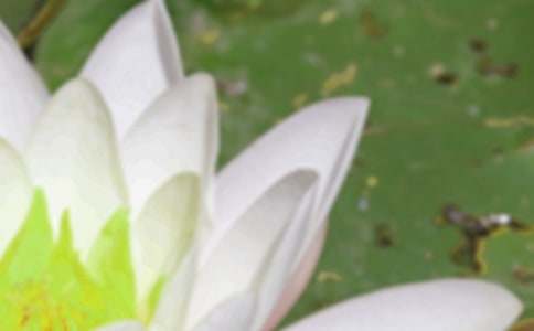 ������߻�������ͨ��5ƪ��