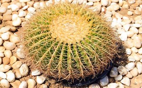 ����������15ƪ[ʵ��]