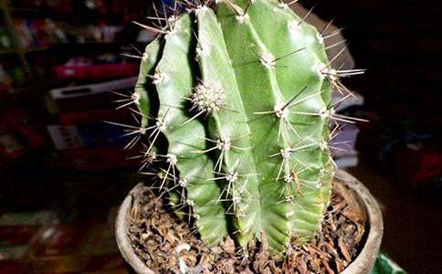 ���������ļ���15ƪ