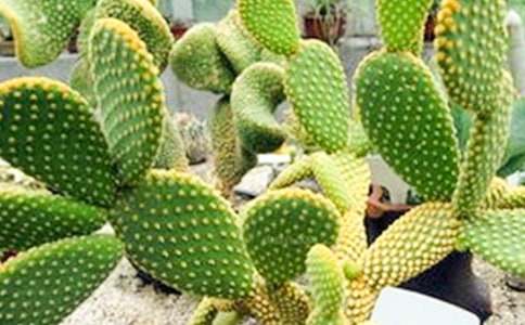 �Ҽҵ�����������[�Ƽ�]