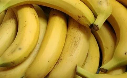 �㽶Сѧ����