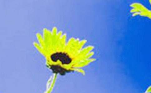 ���տ��Ļ���15ƪ��ͨ�ã�