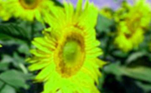 ���Ƽ������տ��Ļ���