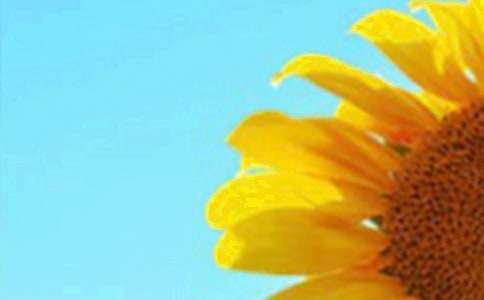 �й����տ�Сѧ����8ƪ