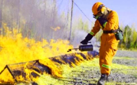 �������������弯��15ƪ