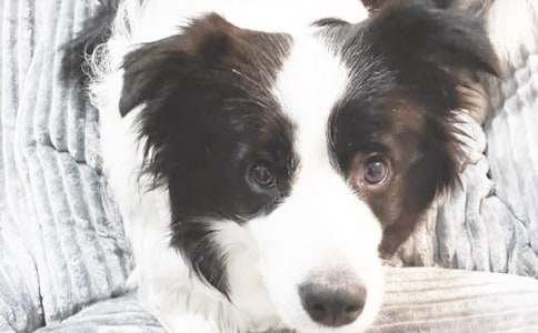 ��С��ѧ�С���д���ģ�ͨ��34ƪ��