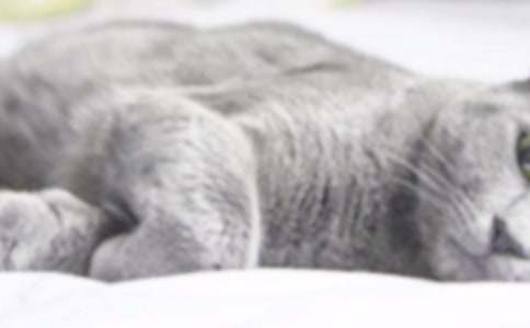 СѧСè����300�ּ�����ƪ