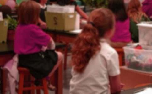 Сѧ�������15ƪ