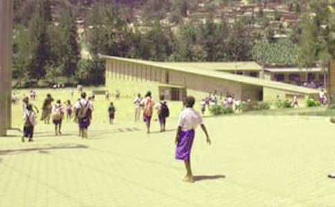 ����Сѧ������