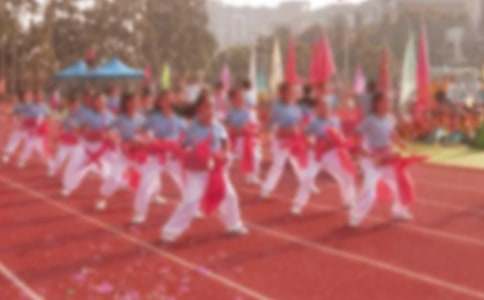 【推荐】小学运动会作文三篇