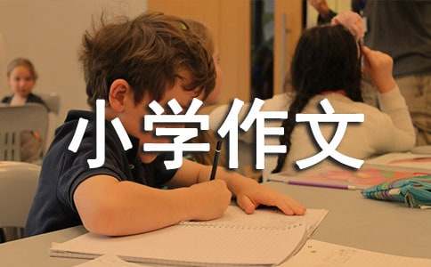 ��ϲ���Ķ���Сѧ����15ƪ(�ϼ�)