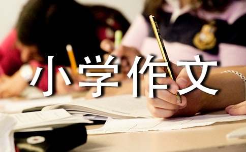 小草小学作文13篇(合集)