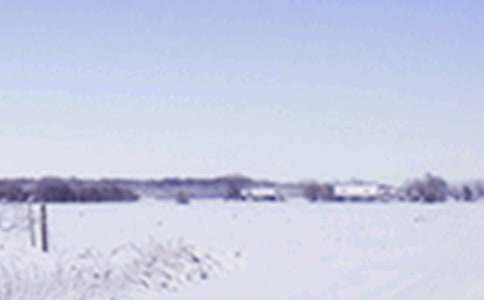 ���̰�:Сѩ��ͨ��17ƪ��