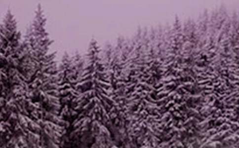 Сѩ�����ʺ���