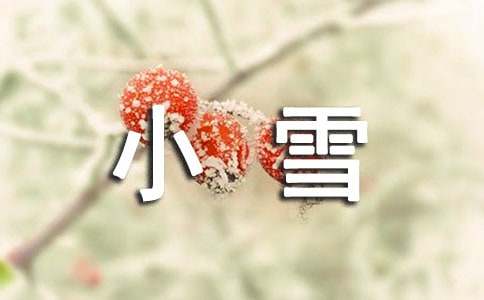 节气小雪的教案15篇