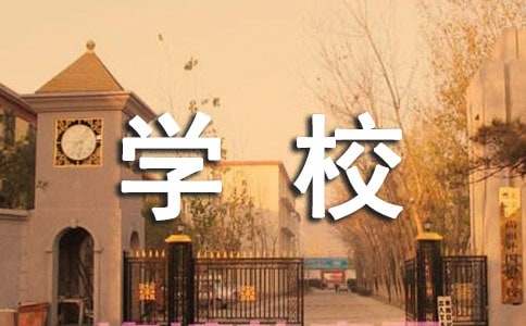 学校总务主任个人述职报告4篇