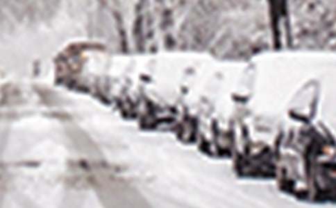 ������ѩ�ֺ�����