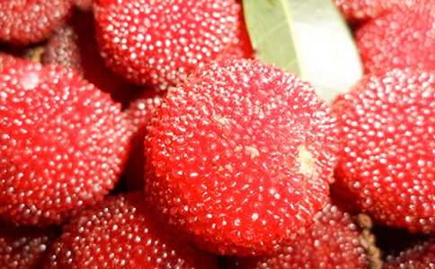 ժ��÷����15ƪ[��ѡ]