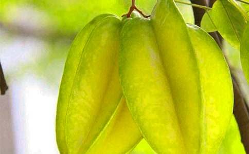 �������ҡ��̰�(15ƪ)