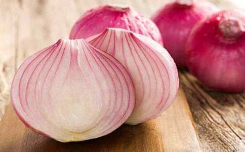 �����ͷ���ռǡ�����з�����15ƪ��