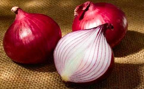 《洋葱头历险记》读后感15篇