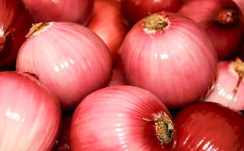 �����ͷ���ռǡ�����м���15ƪ