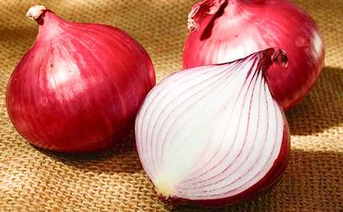 �������ͷ���ռǡ��и�15ƪ[ͨ��]