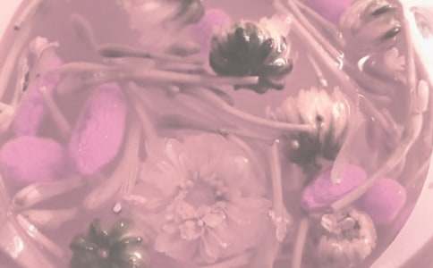 ���������������ĵ����