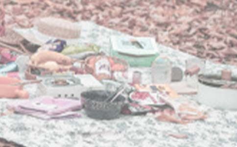 户外野餐活动策划书