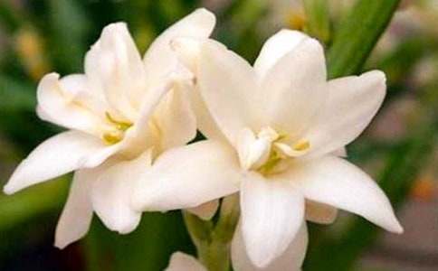 ҹ��������[�Ƽ�]