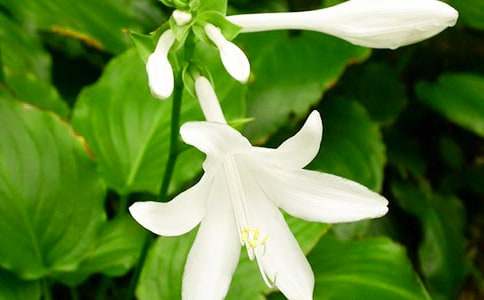 ҹ��������[��ѡ15ƪ]