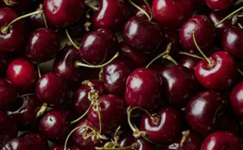 樱桃沟的春天读后感(合集15篇)