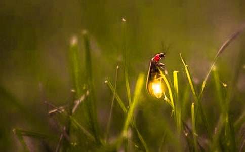 ө���֮Ĺ�ۺ��7ƪ