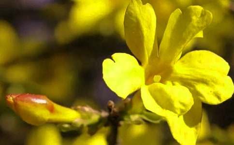 С�ࡶӭ�������̰�������15ƪ��