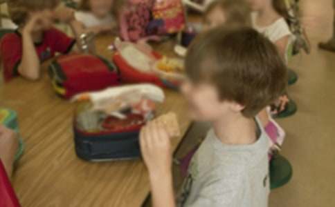 办幼儿园申请书(15篇)