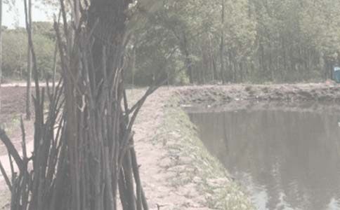 ����ѡ��������������Э����2ƪ